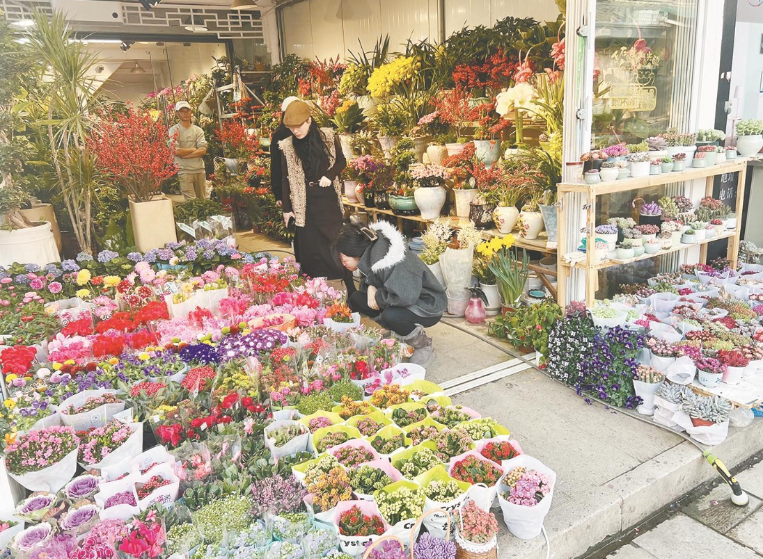 屏幕快照 2026-01-27 下午3.10.26.png