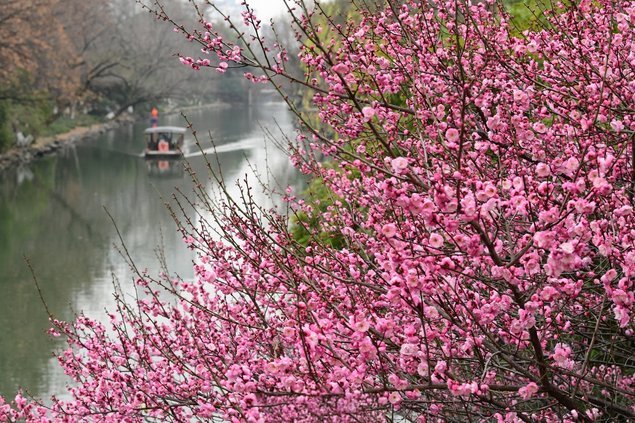 杭州东河一景。里尔 摄