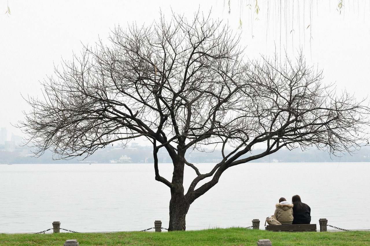1月28日,杭州西湖一景。里尔 摄