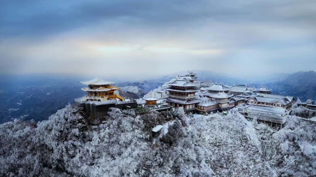 微信图片_2026-01-29_004804_172.jpg