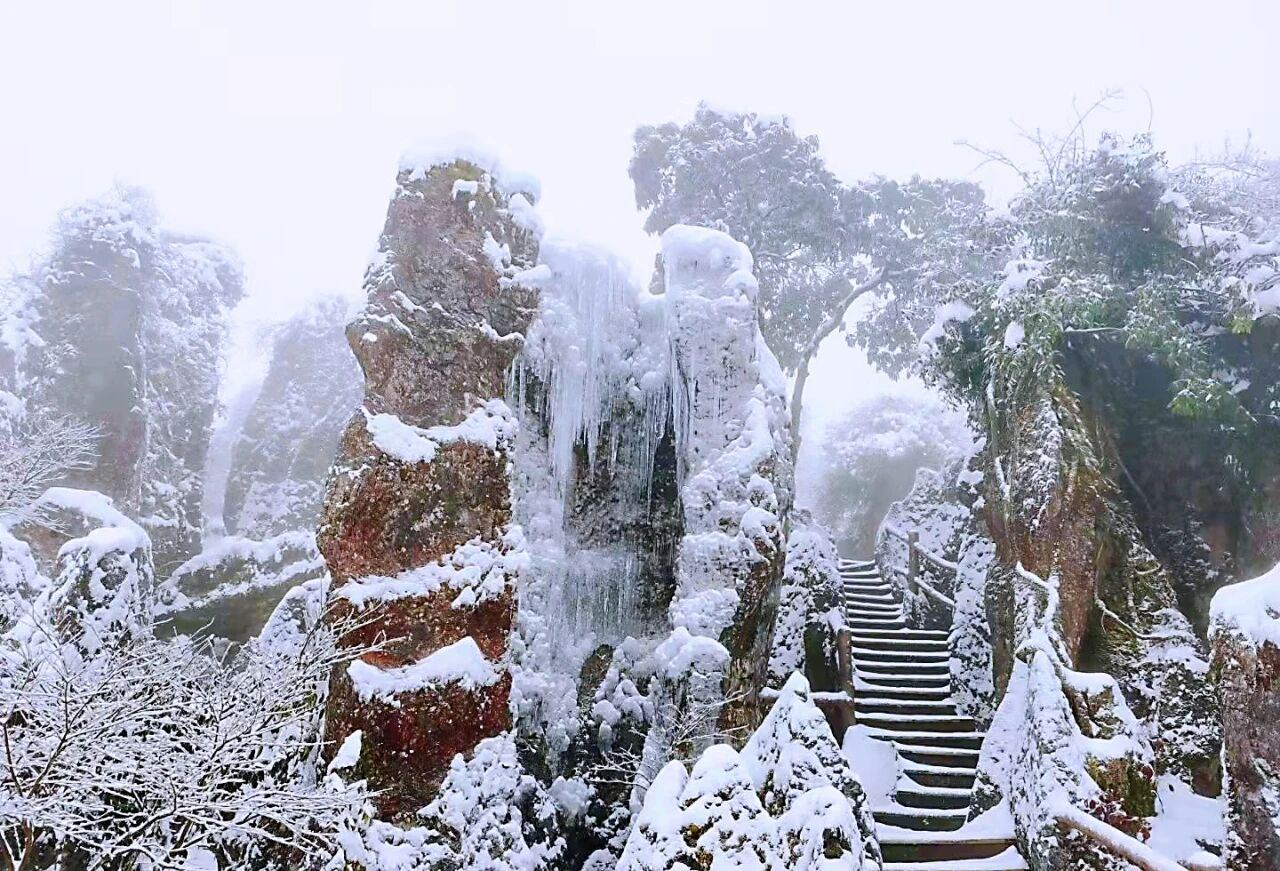 微信图片_2026-01-29_004003_572.jpg
