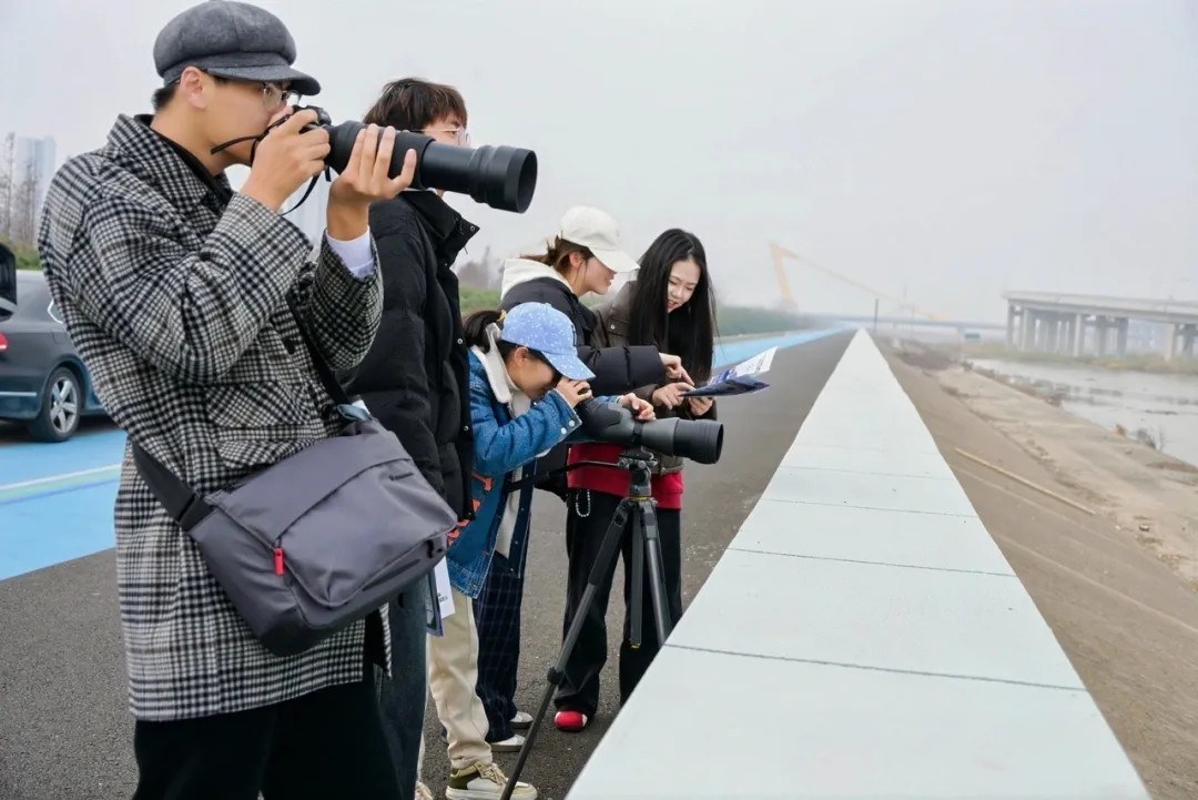 微信图片_20260127110439_1949_84.jpg