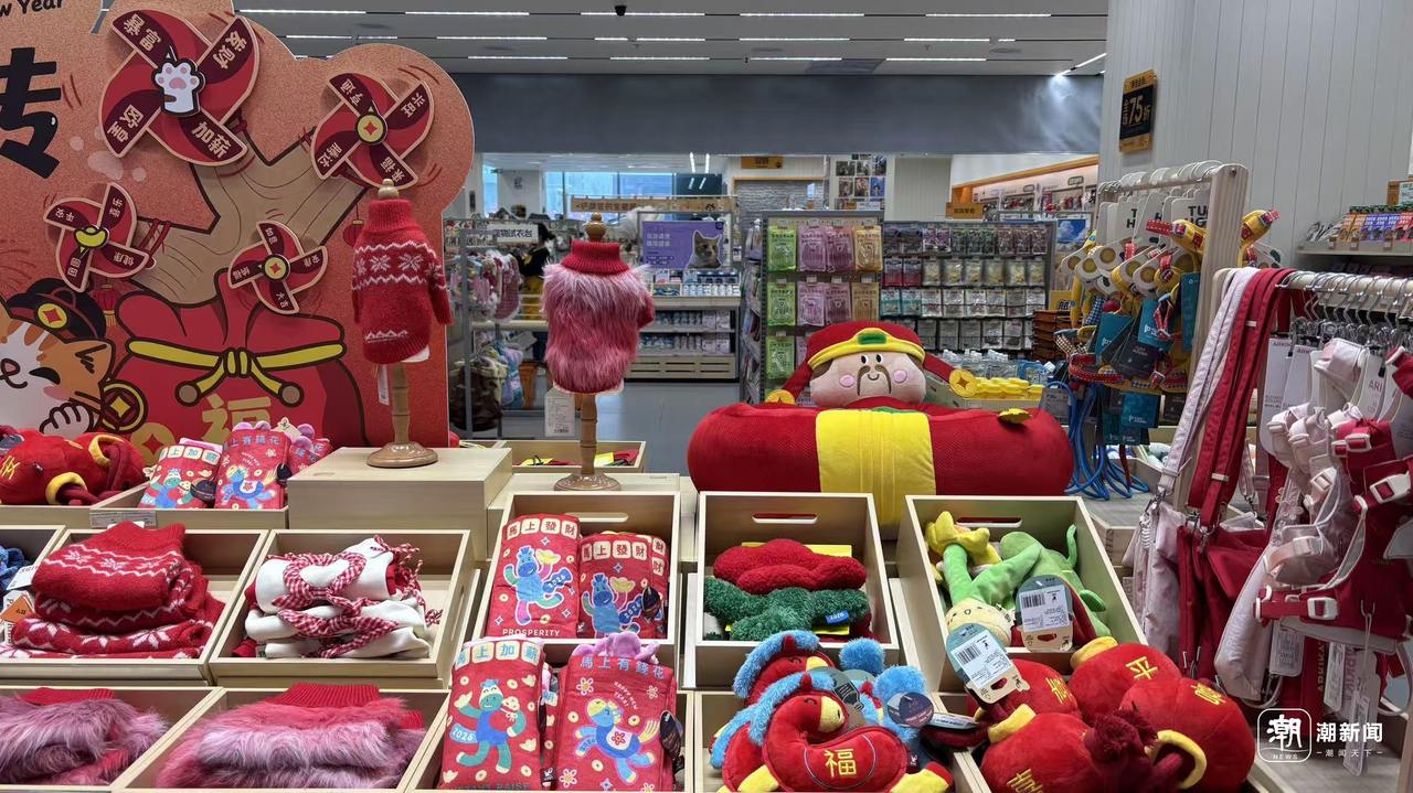微信图片_20260203164852_264_276.jpg