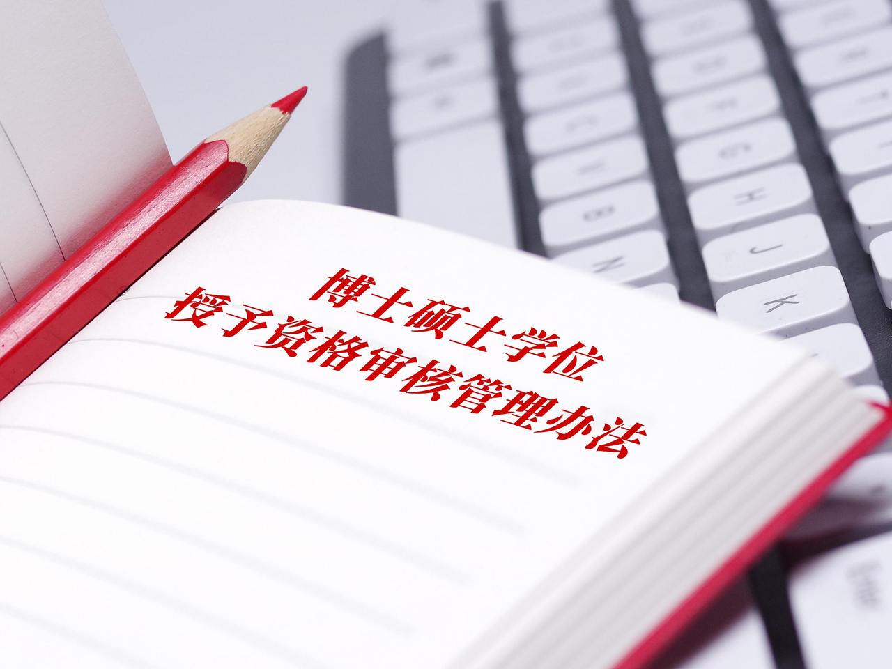 潮声丨博士生读硕,反向求学为哪般?