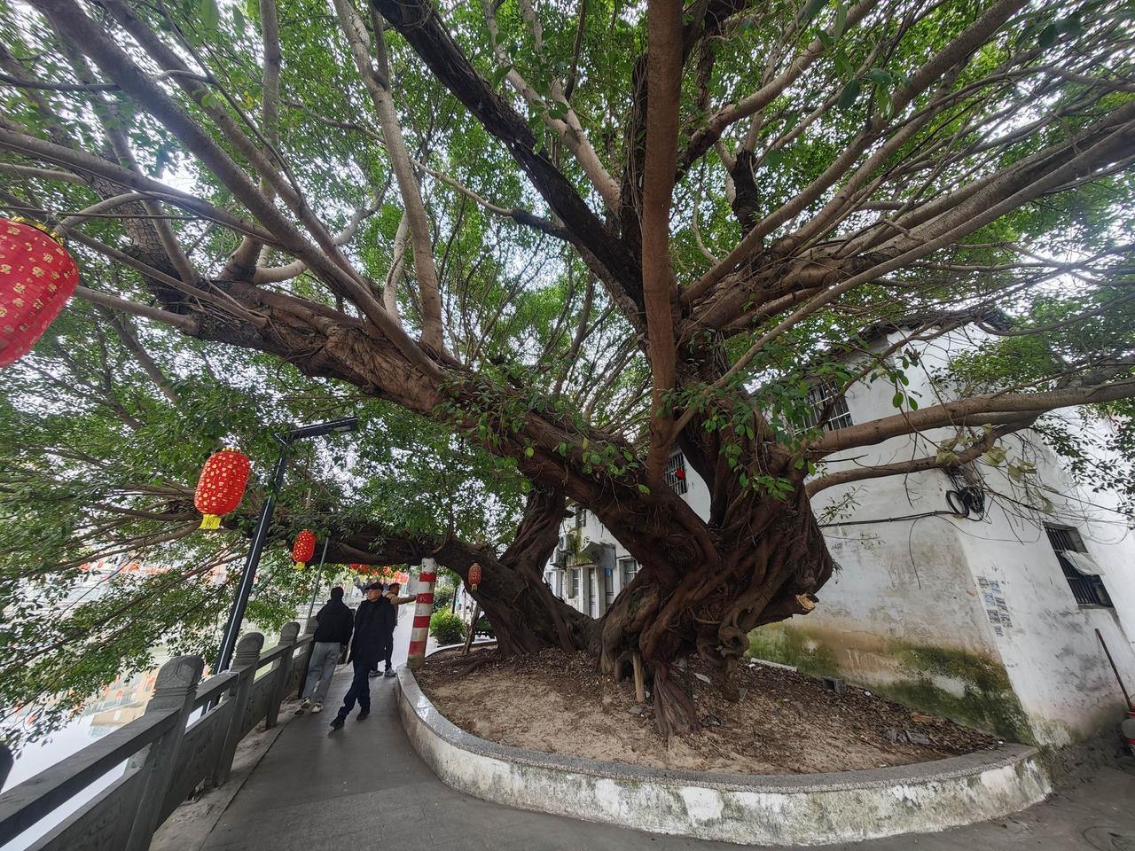 2019343617151127552.jpg 5f02af046835cf6fc8737e06fc224430.jpg