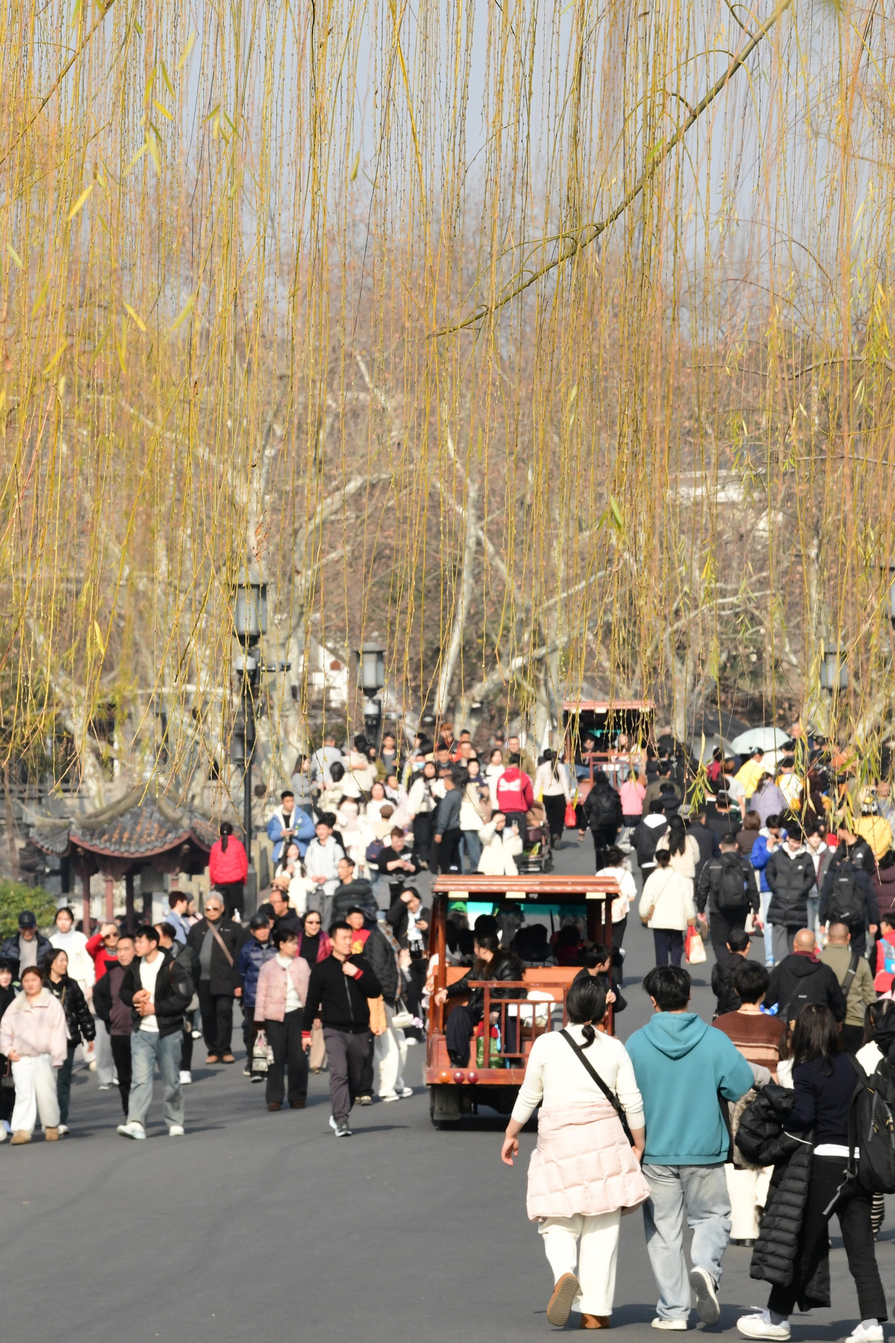 西湖边 里尔 摄