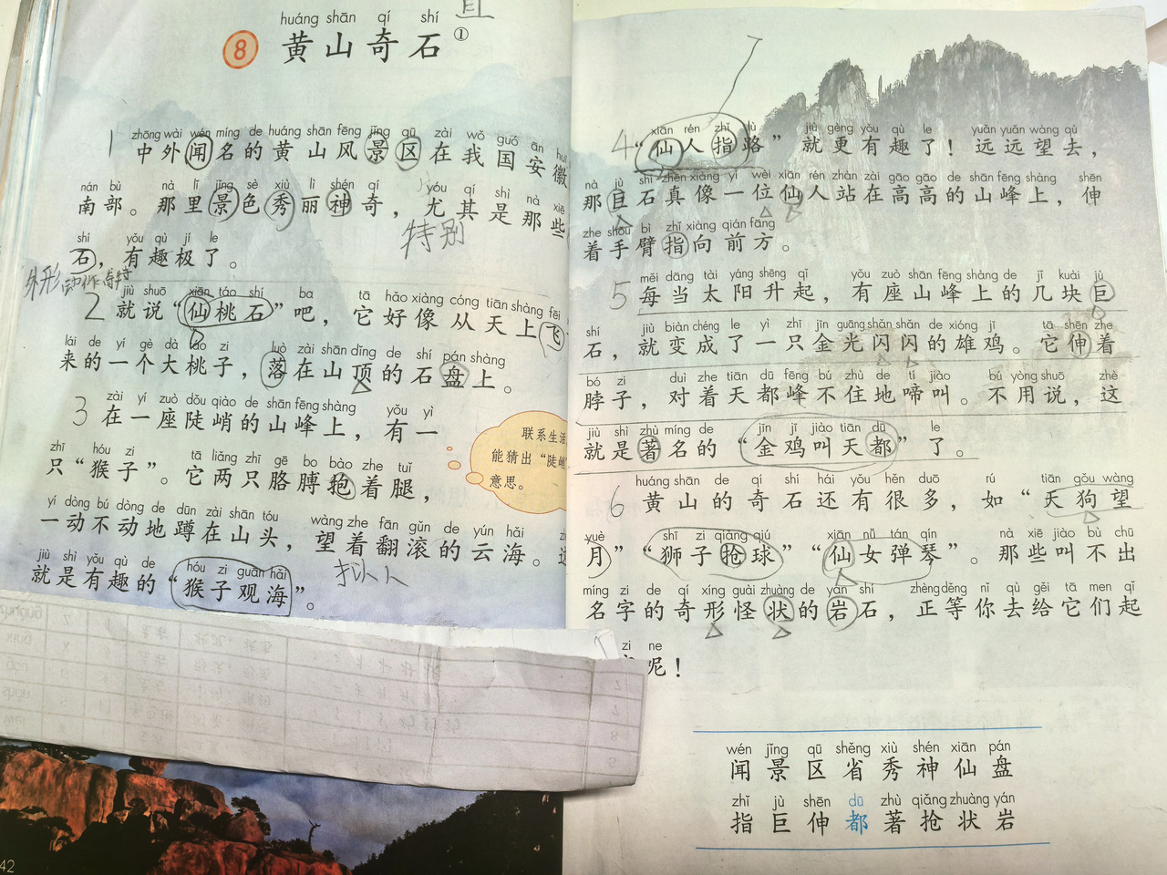 微信图片_20260212161053_516_32.jpg