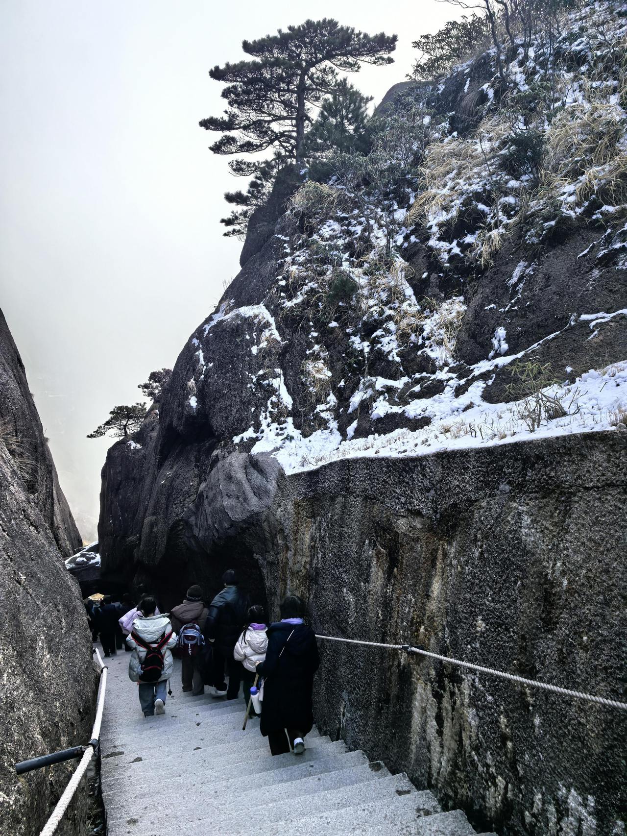微信图片_20260212113213_460_32.jpg