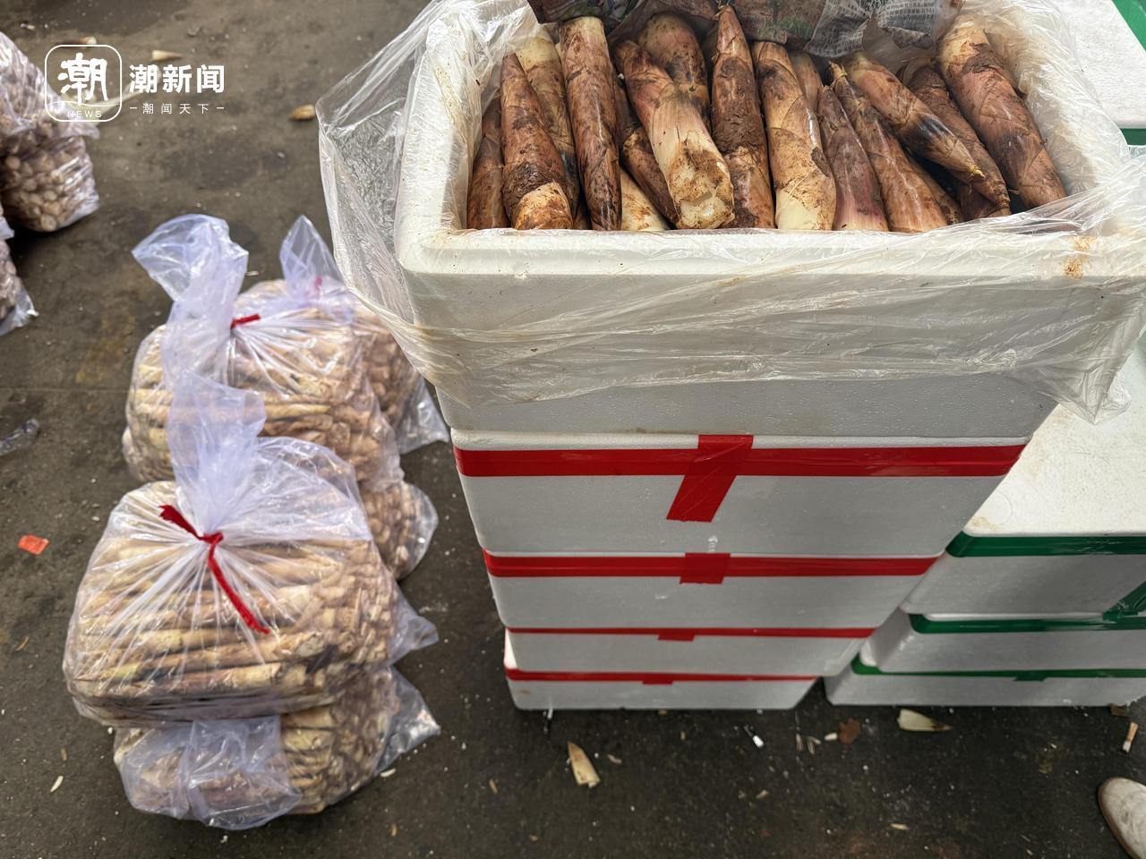 微信图片_20260213161233_835_3.jpg