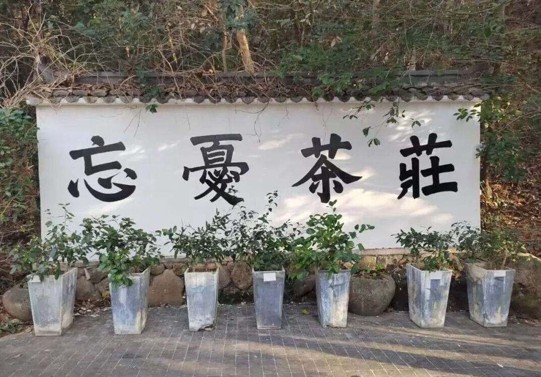 微信图片_20260309141823_541_18.jpg
