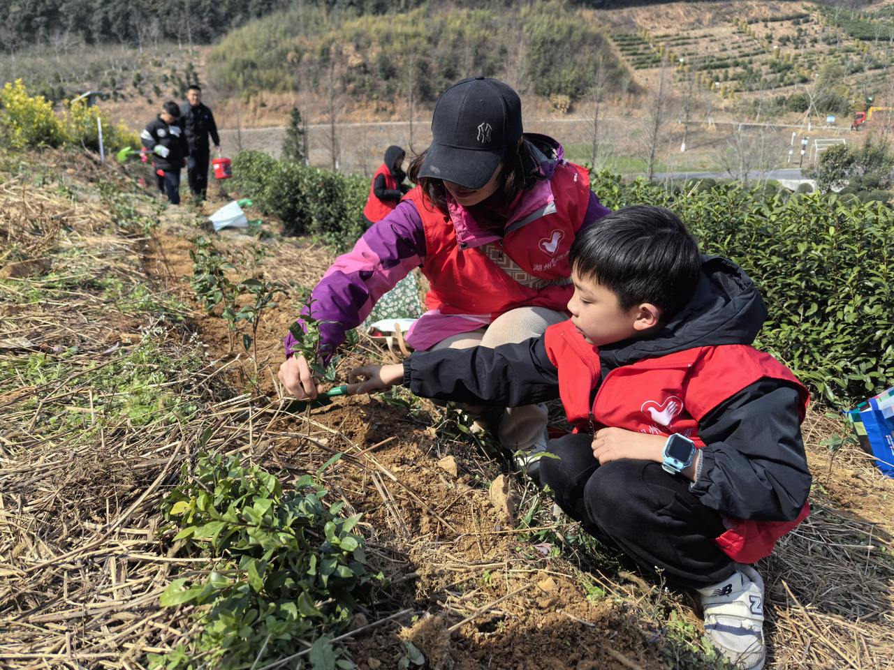 微信图片_2026-03-09_153731_403.jpg