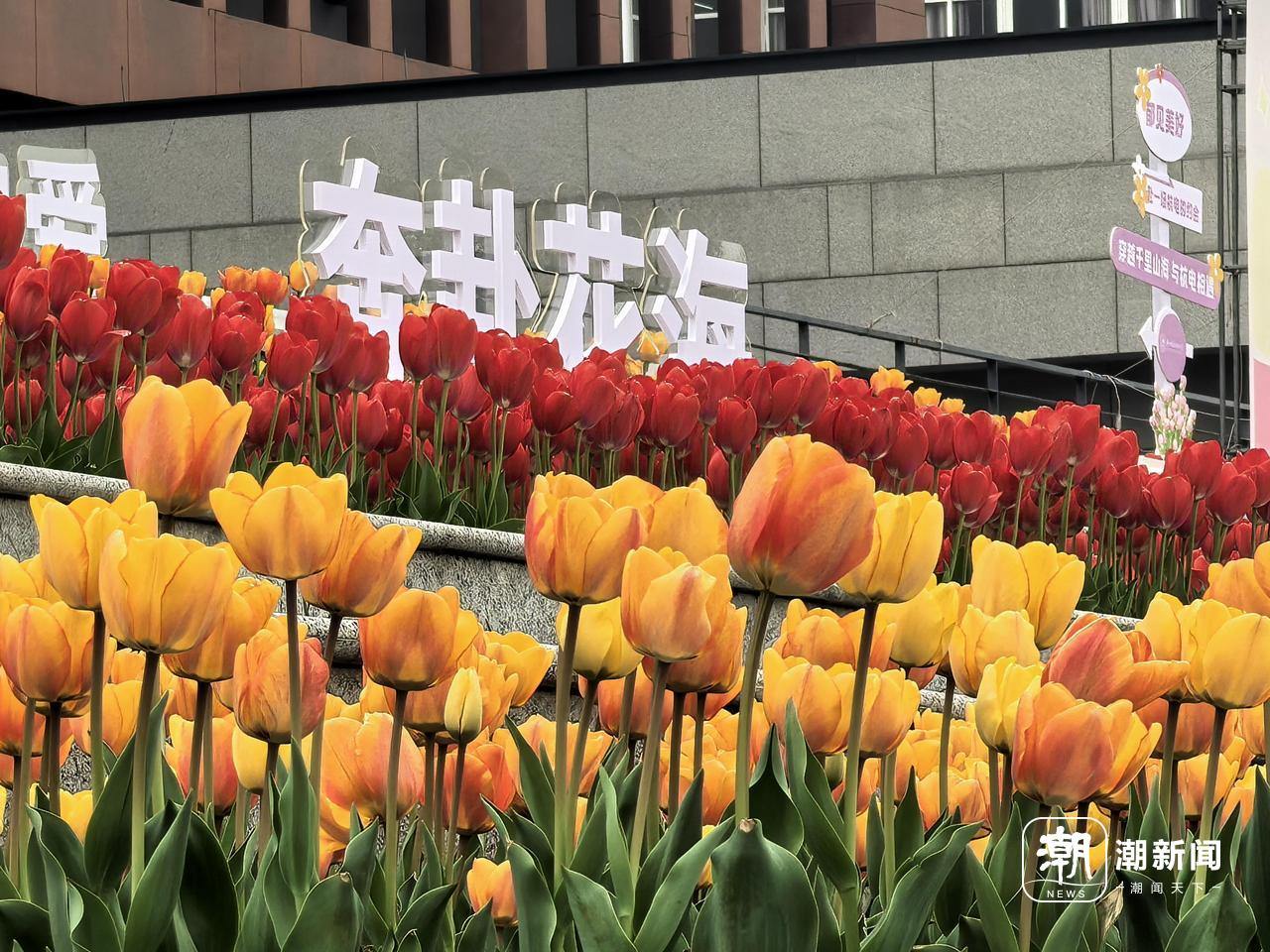 微信图片_20260320103505_648_100.jpg