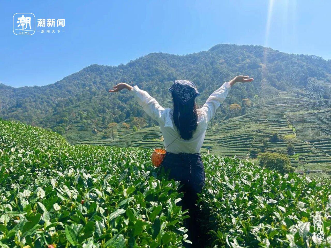 2042163111988817920.jpg 图片