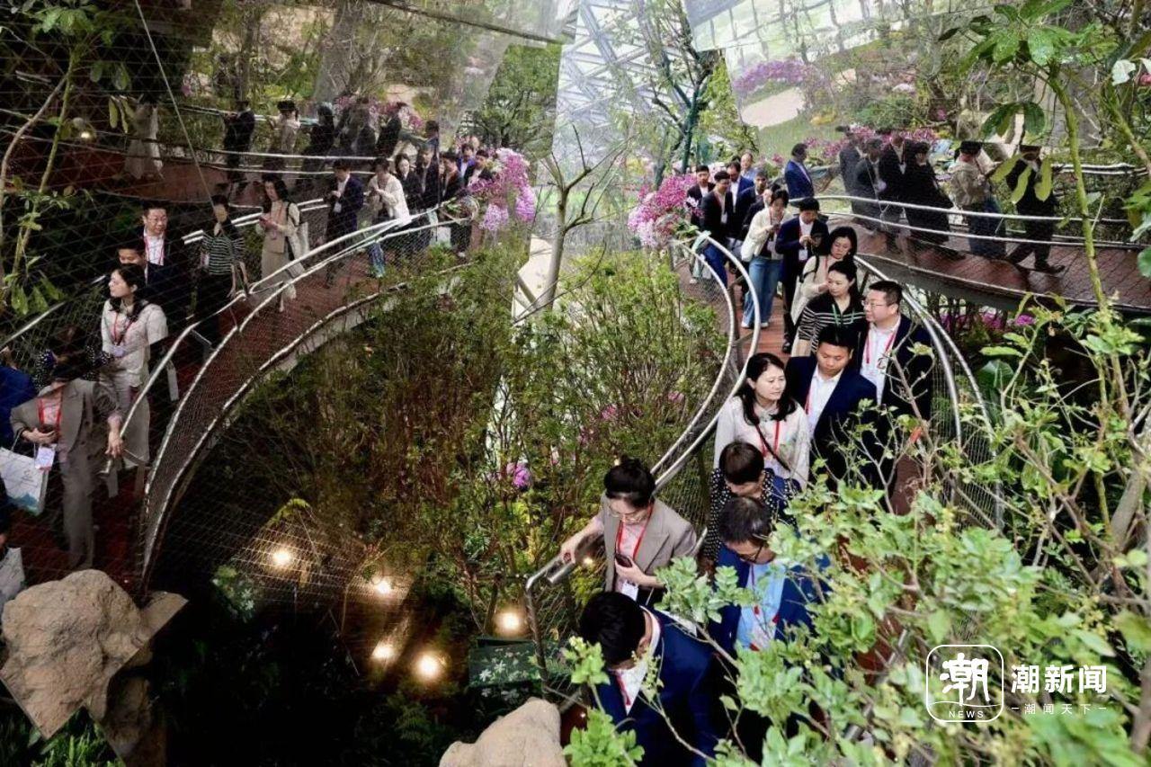 2044370500993413120.jpg 图片