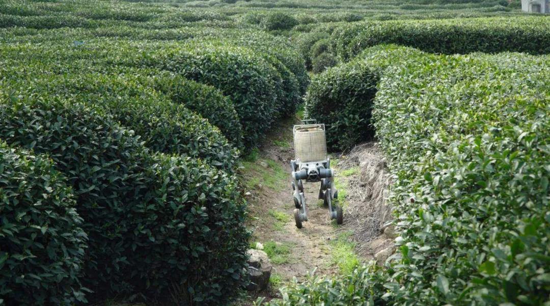 2044949886612271104.webp 图片