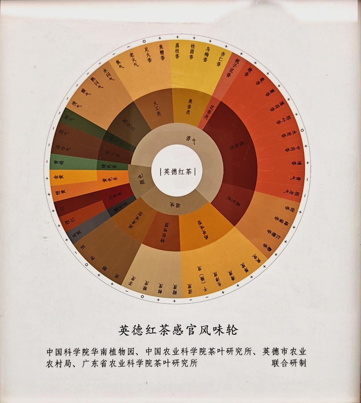 英德红茶感官风味轮.png