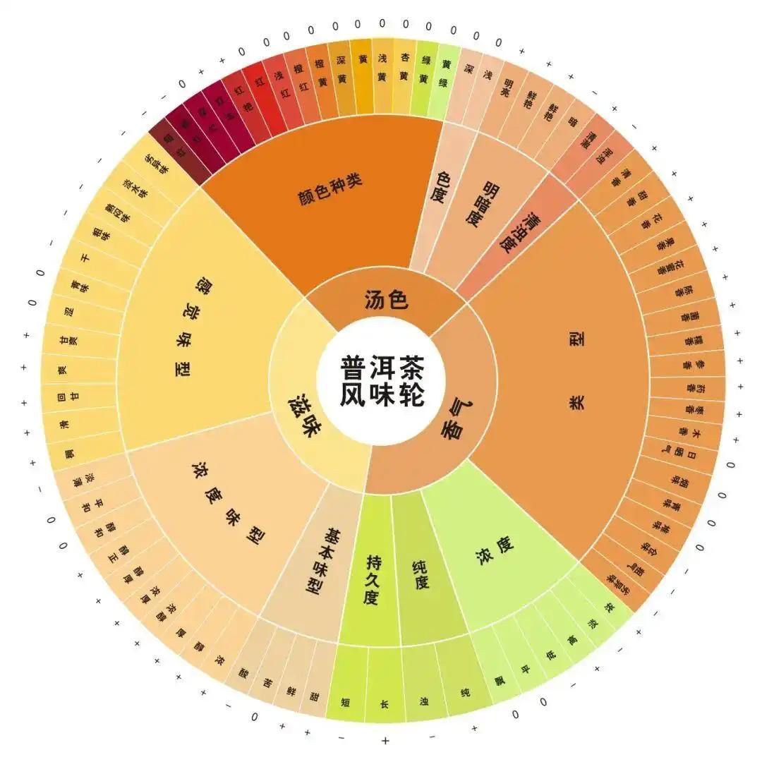 普洱茶感官风味轮.webp