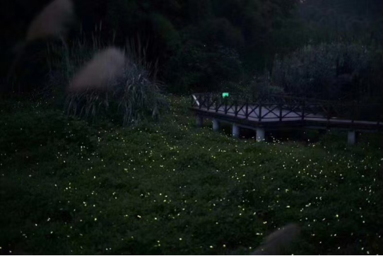 微信图片_20260420162559_599_121.png