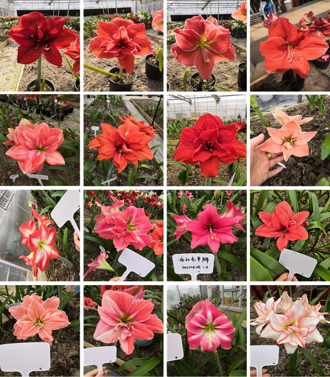 微信图片_2026-04-21_151532_077.png