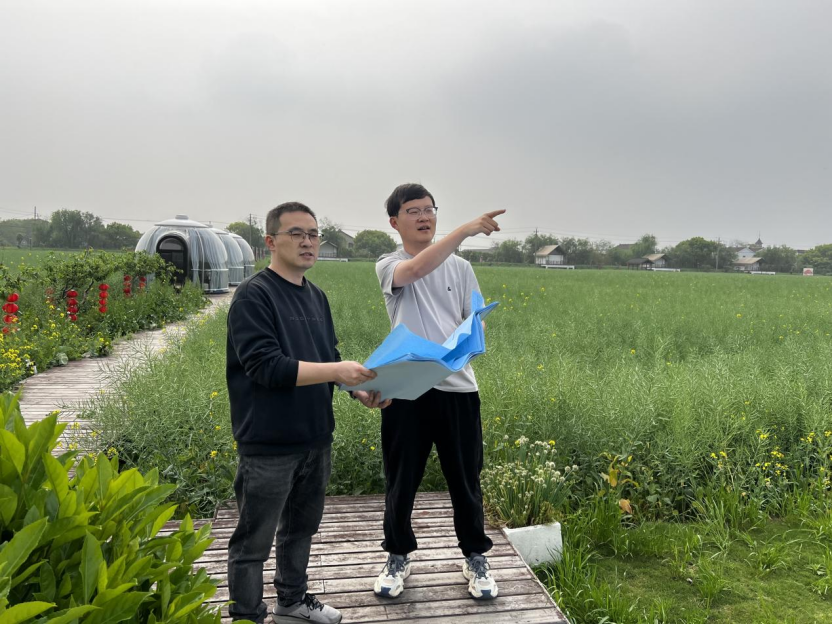 副本华桥村:青年筑梦兴乡村 康养悠居谱华章(4.20)802.png