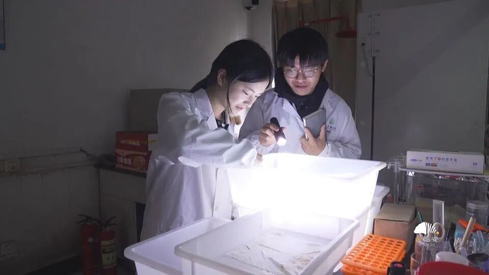 2048663367005970432.jpg 图片