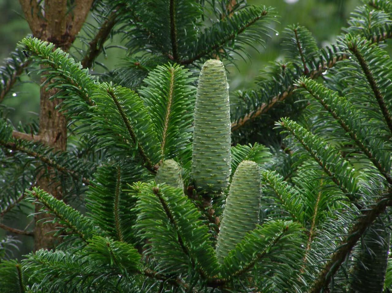 WechatIMG5749.jpg