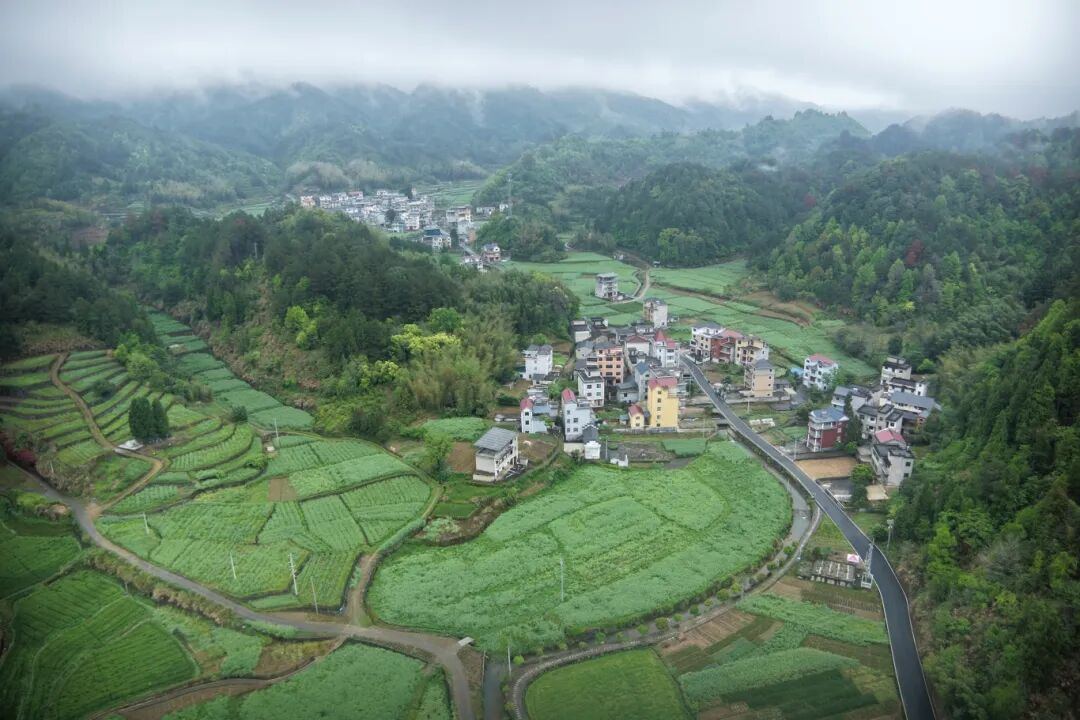 聚能发展“马金豆腐”共富链——衢州市开化县马金镇