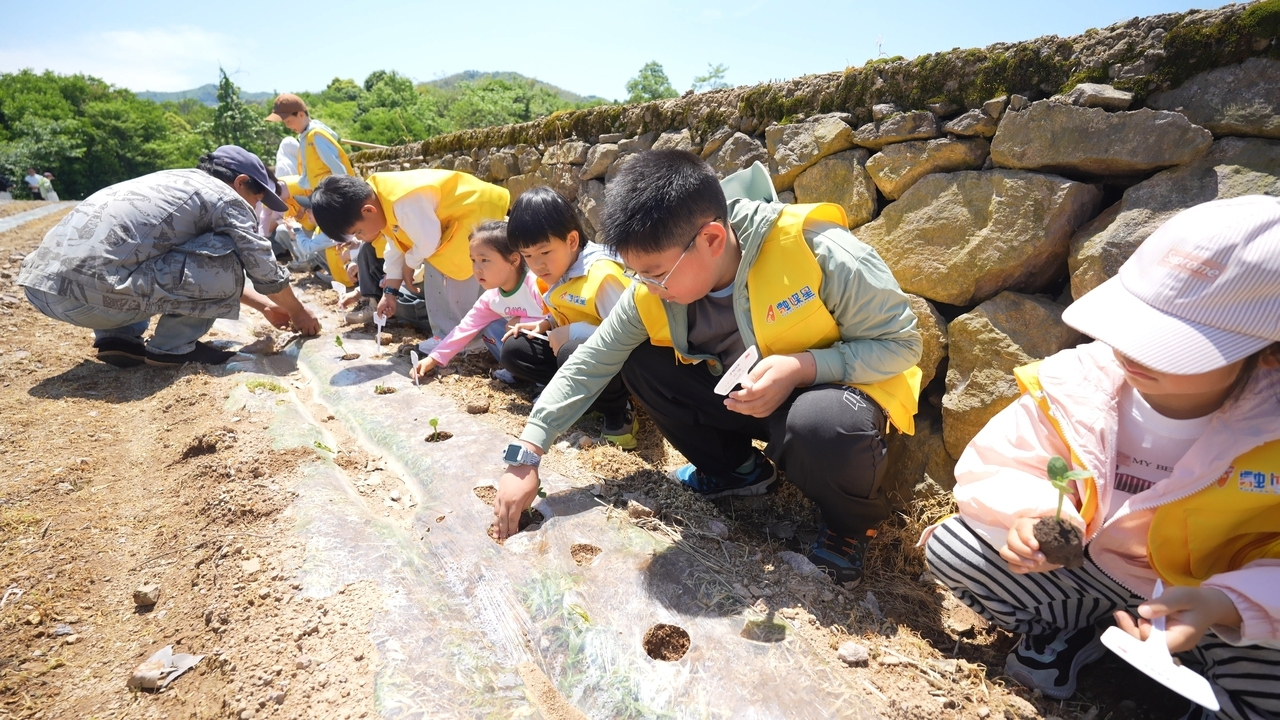 “我在回山有颗金标瓜” 回山西瓜认养活动首期研学游举行