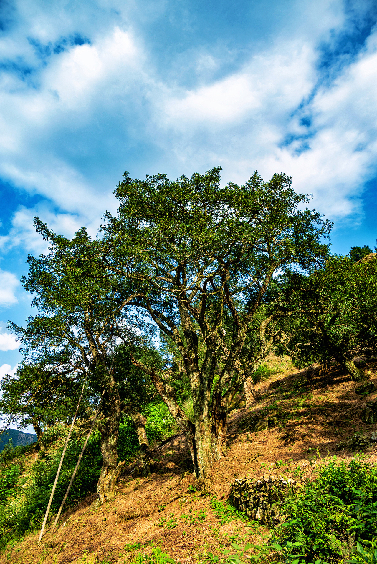 VCG111458898562.jpg