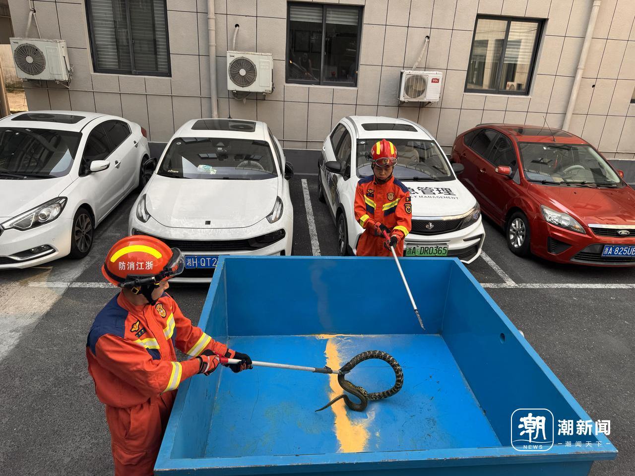 微信图片_20260602205717_1199_123.jpg