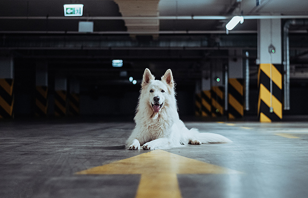 VCG41N1496681613.jpg