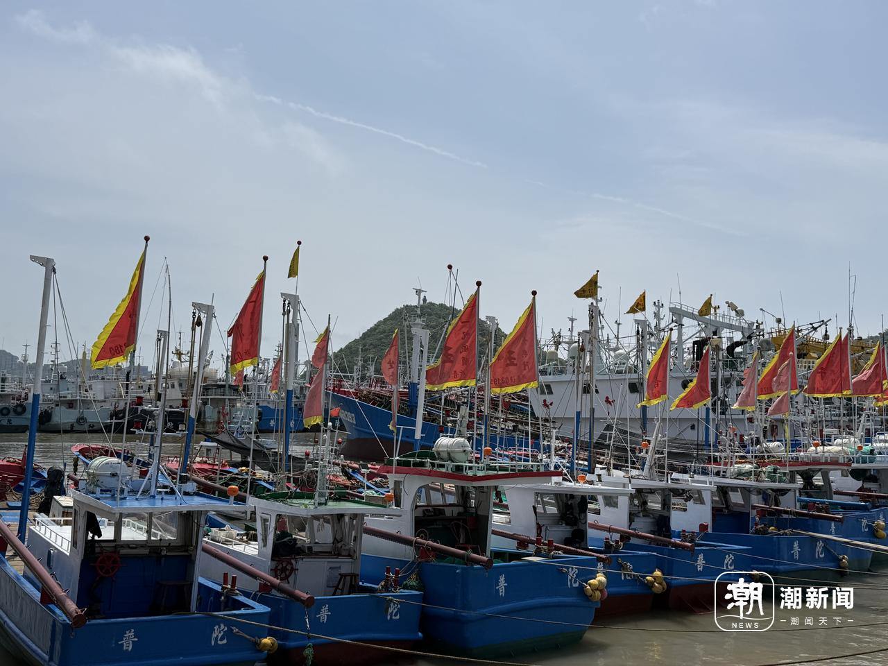 潮声丨东海禁渔期，浙江餐桌上为何“鲜不断”？