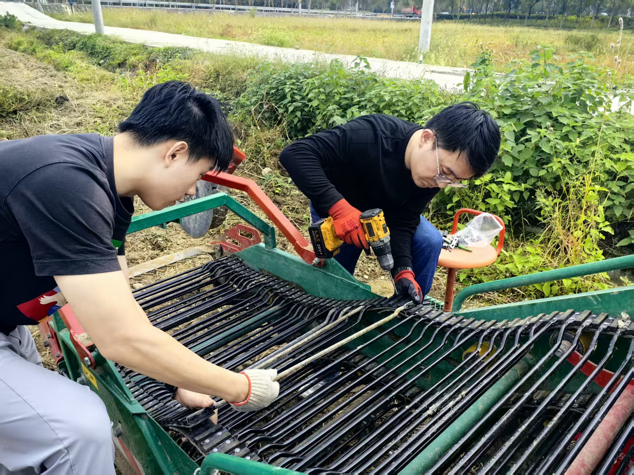 微信图片_20260611082551_407_88.jpg