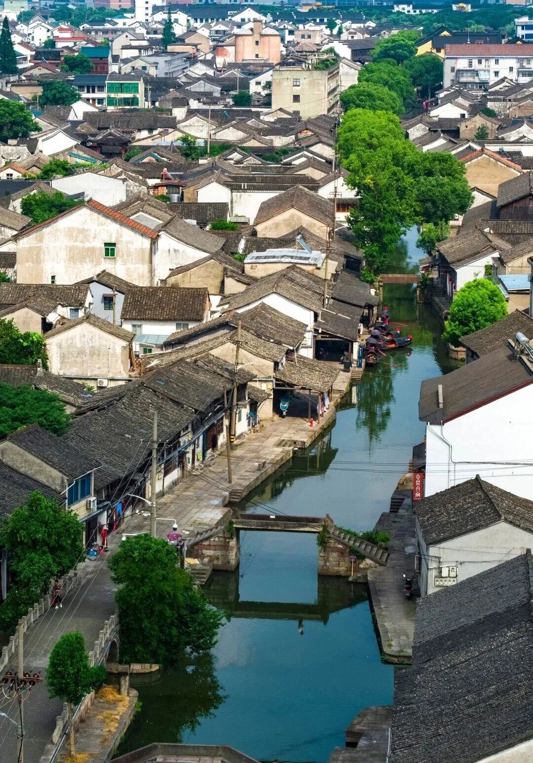 微信图片_2026-06-20_195035_369.jpg