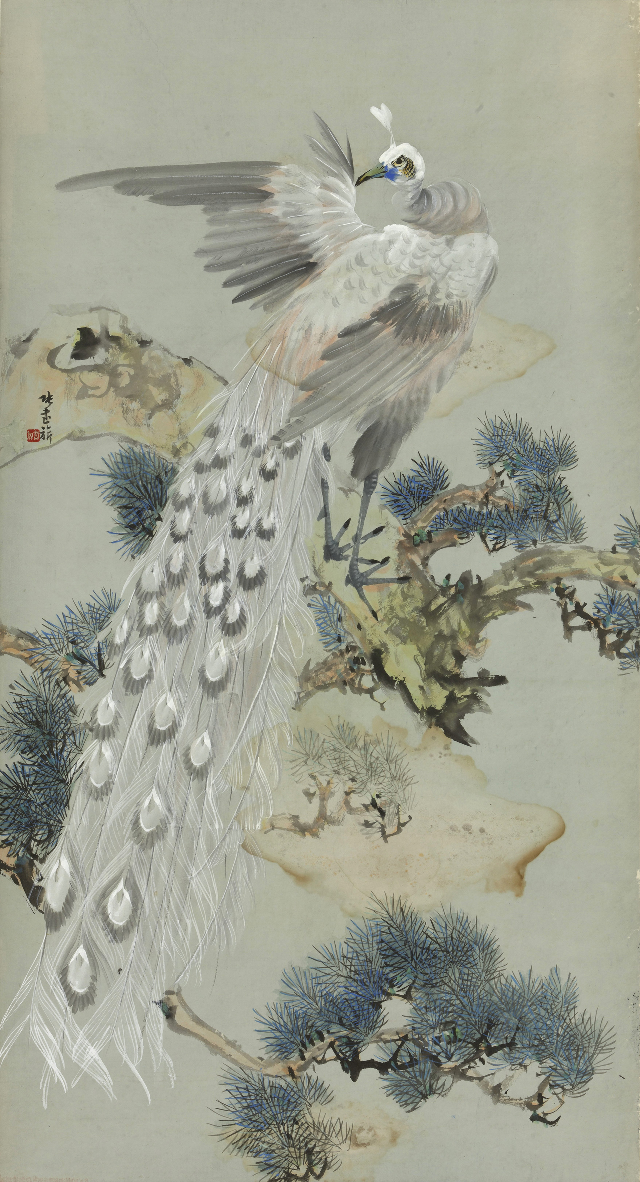 金陵三杰”张书旂来了，他画的鸽被徐悲鸿称为“古今第一”