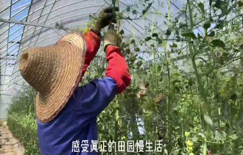 图片 8.png