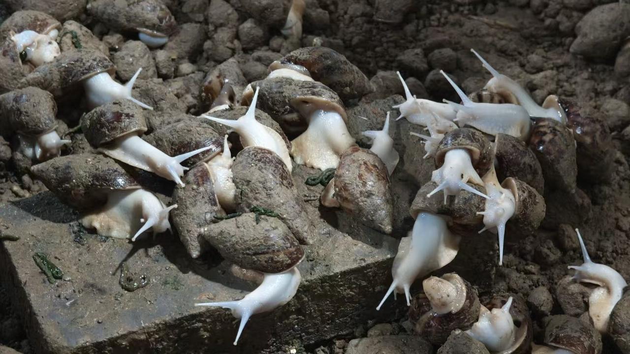 微信图片_20260720222608_234_30.jpg