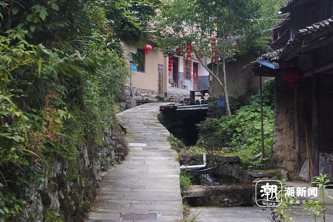 村中小路。.JPG