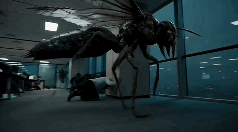Aug-13-2026 15-09-46.gif