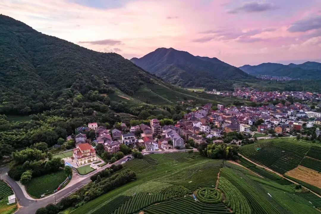 2090256767672848384.jpg 图片