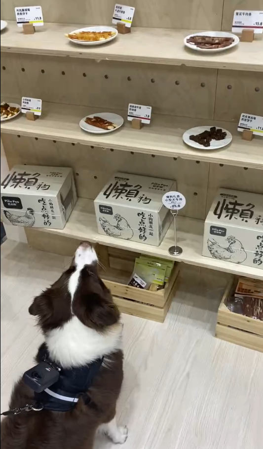 微信图片_2026-08-31_105003_806.png