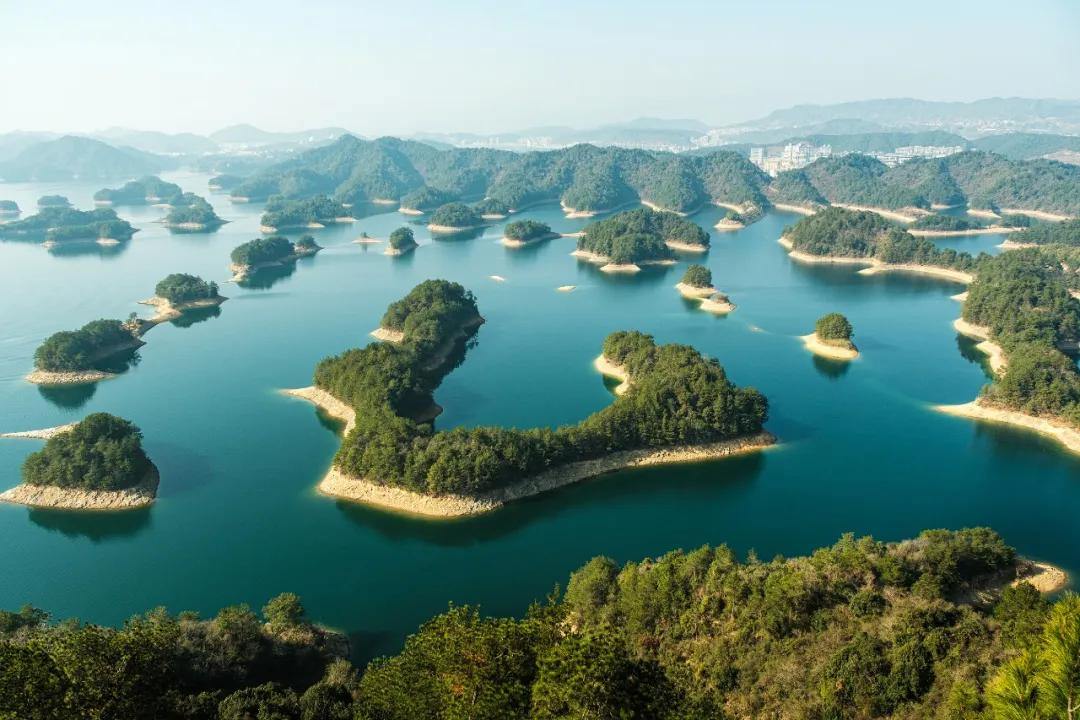 2094345614715195392.webp 图片