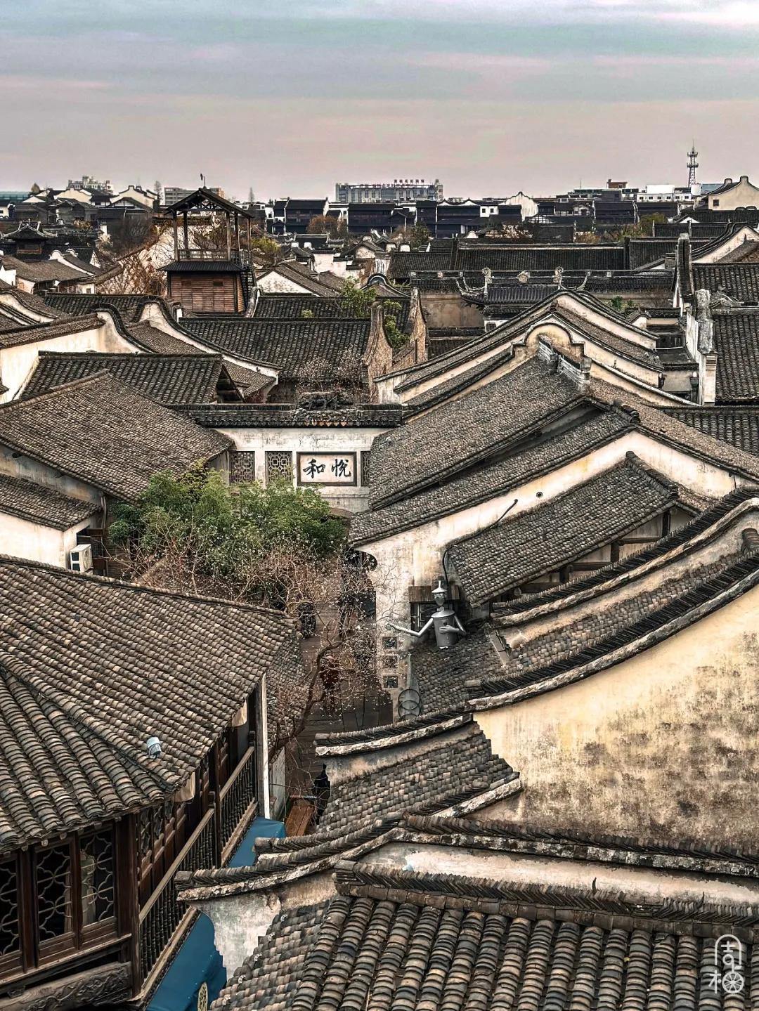 2094345614690029568.webp 图片