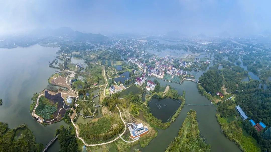 2094345616195784704.webp 图片