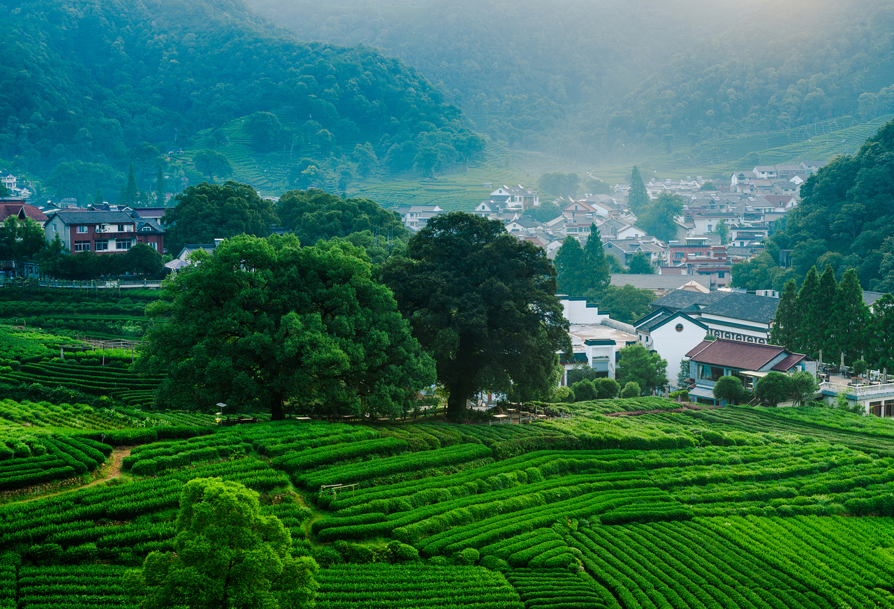 VCG211d635a3dd.jpg