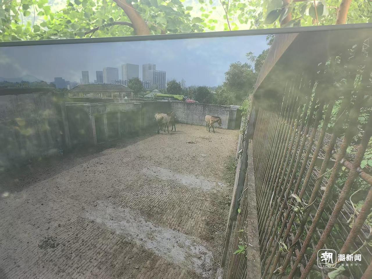 微信图片_20260918101145_129_550.jpg
