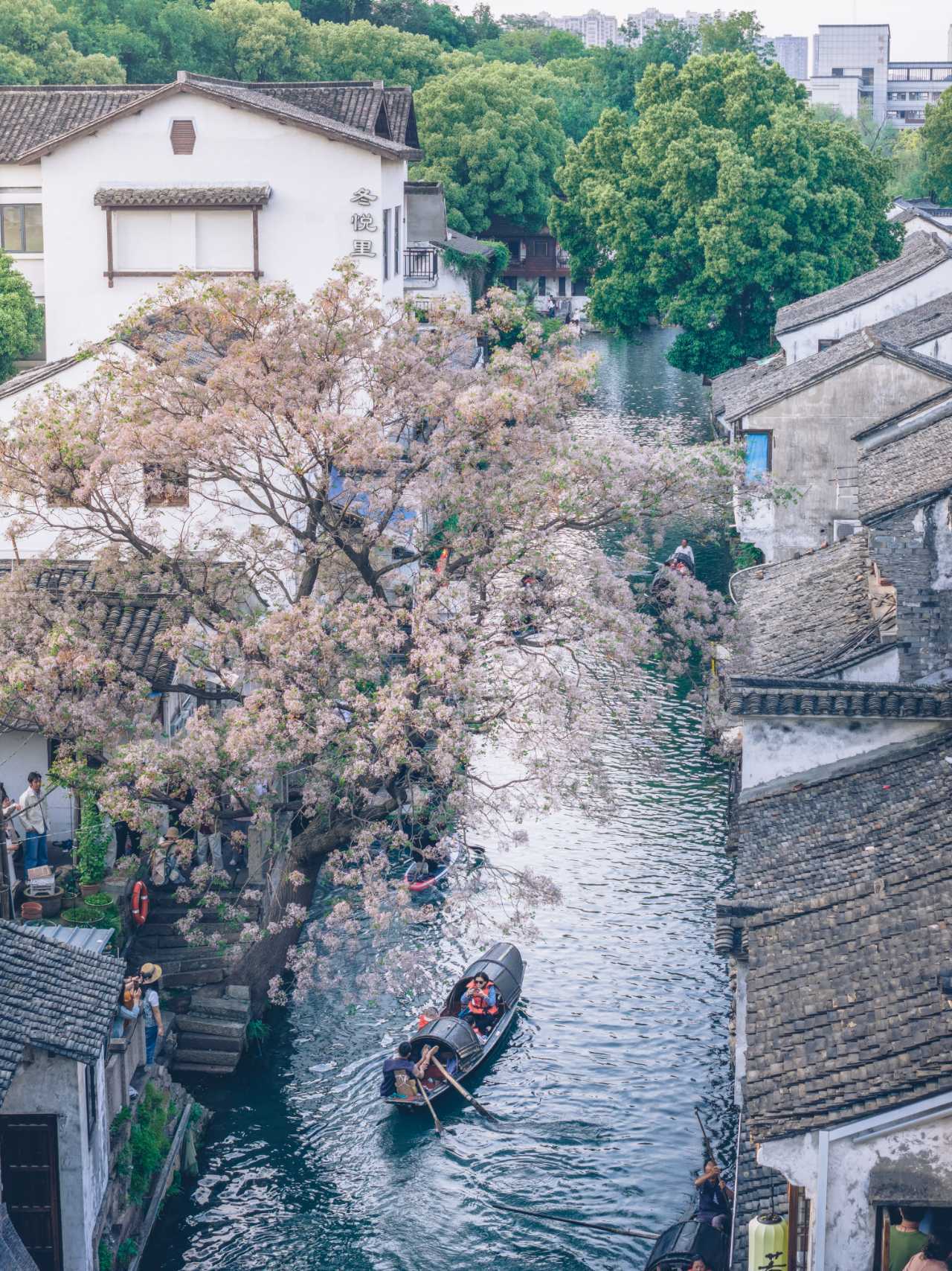 微信图片_20260903170407_483_406.jpg