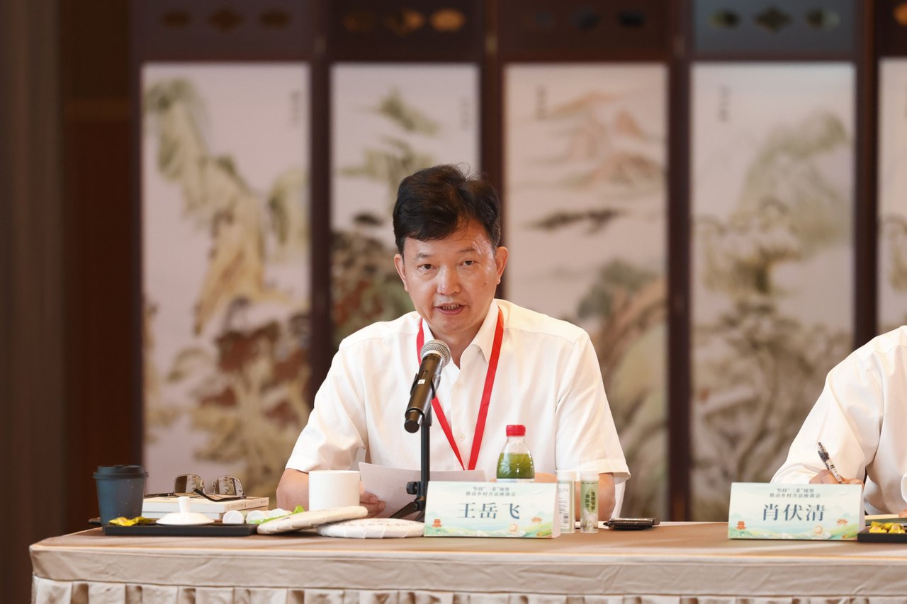 王岳飞.jpg