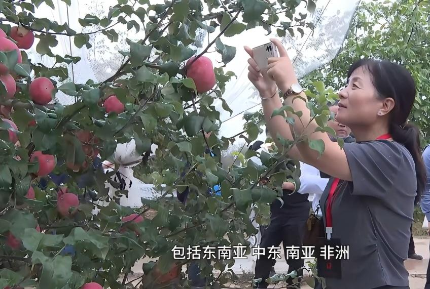 图片5.png