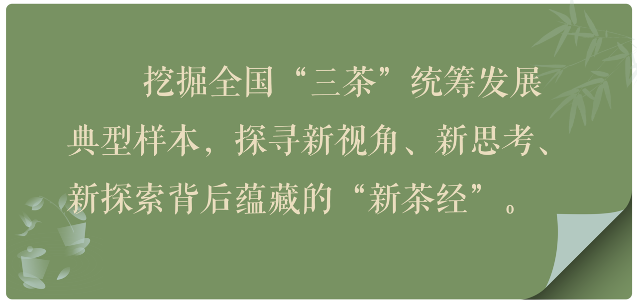 新茶经 贴片.png